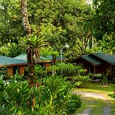 Eden Organic Farm & Bungalows