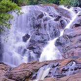 Sinharaja Forest Gate