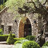 Domaine Les Mésanges