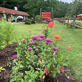 Pine Crest Motel And Cabins