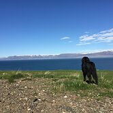 Steinn Farm Private Apartment