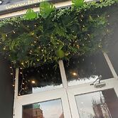 The Bear on the Square