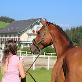 Narnhoferwirt