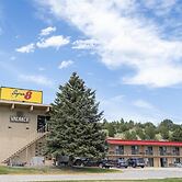 Super 8 by Wyndham Newcastle