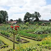 Best Western La Metairie