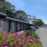 The Waterfront Wynyard