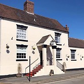 The Fox