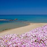 Hotel Residence Ampurias