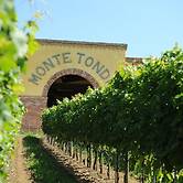 Monte Tondo