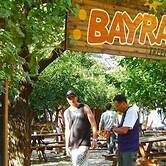 Bayrams Tree Houses