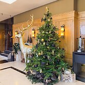 Hotel des Vosges, BW Premier Collection