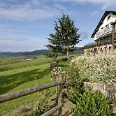 Le Clos Saint Vincent