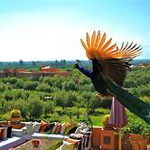 Riad Al Mendili Private Resort & Spa