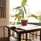 Hostal Fiorenttina - Hostel