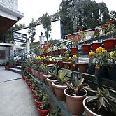 Hotel Sikkim Tourist Centre