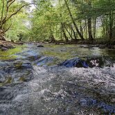 Whispering Creek - 2 Bedrooms, 1 Baths, Sleeps 6 Cabin by RedAwning