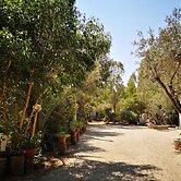 Village Camping Fico d'India