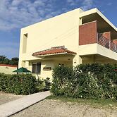 Painushima Resort Coral Fish