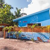 South Ari Dive Center