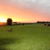 Glamping With Llamas