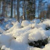 Lapland Getaway - Hostel