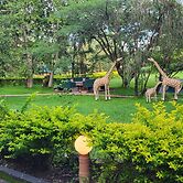 Meru View Lodge