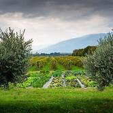 Agriturismo Al Luogo del Giulio
