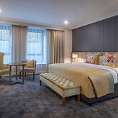 Castletroy Park Hotel Suites