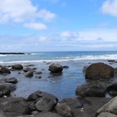 Tanna Ikamir Bungalows and Accomodations