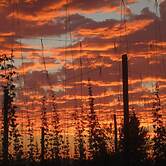 Hopyard View Farm - A Farm Experience in Ashland