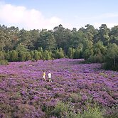 Hotel Bispinger Heide by Center Parcs