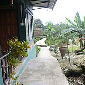 Pumpkin StreamSide Guest House