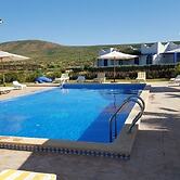 Un Thé Au Bout Du Monde