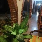 Hotel Villa Los Arcos