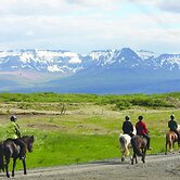 Hestaland Guesthouse Horse Farm Stay