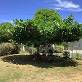 ritashomeawayfromhome