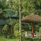 Samarth Bardia Adventure Resort