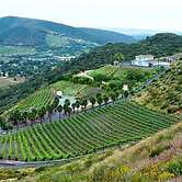 Sunshine Mountain Bed and Breakfast