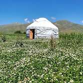 Suusamyr Valley - Campsite