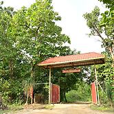 Tigers Heaven Resort