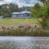 Green Olive at Red Hill