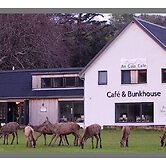 An Cala Cafe and Bunkhouse - Hostel