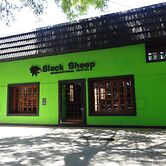 Black Sheep International Hostel