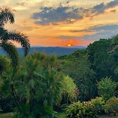 Daintree Manor Bed & Breakfast