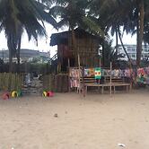 Natural Bamboo Village