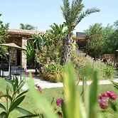 Koheilan Oriental Lodge Farm