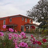 Weinhof am Nussbaum