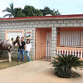 HOSTAL EL POTRO