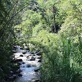 Hostería Río Escondido