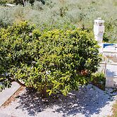 Agriturismo biologico Piccapane